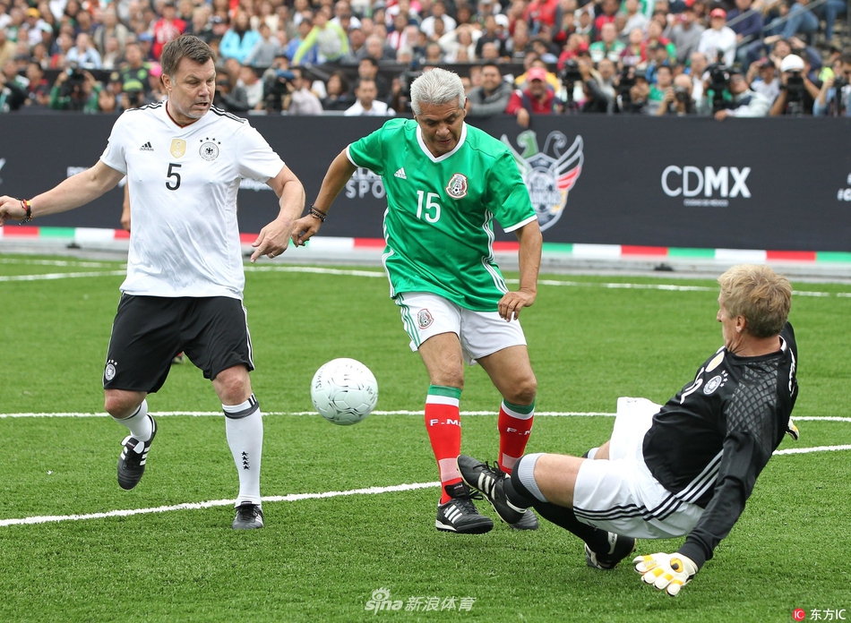 建议建立对 建议建立对